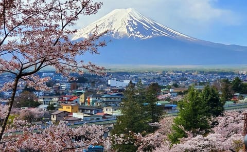 English Guided 3 Days Tokyo, Mt. Fuji and Hakone Private Tour
