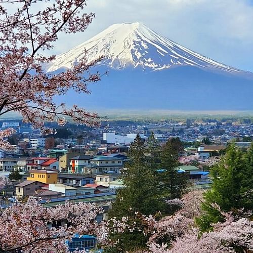 3 Days Private Tour Tokyo, Mt. Fuji and Hakone