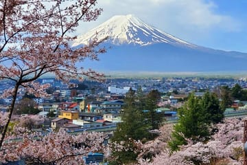 English Guided 3 Days Tokyo, Mt. Fuji and Hakone Private Tour