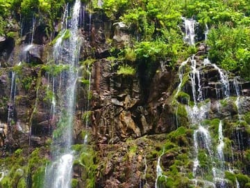 Dashbashi Canyon at Algeti National Park