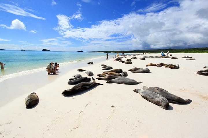 Galápagos