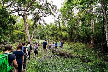 Luxury Chitwan Tour Package 2 Nights 3 Days from Kathmandu