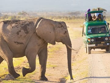 4-Day Masai Mara and Lake Naivasha Safari Tour in Kenya