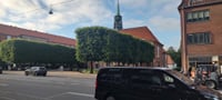 City, Nature & Cycling — Private Experience in Copenhagen 5