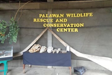 Puerto Princesa Port Sightseeing Excursion: city tour