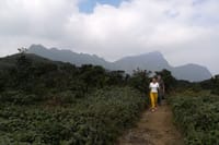 02 days Knuckles and Riverston Trekking from Kandy 2