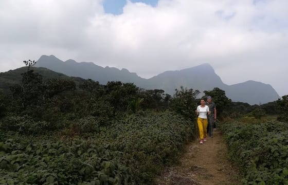 02 days Knuckles and Riverston Trekking from Kandy