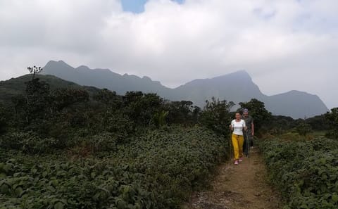Two-Day Trekking Tour in Knuckles and Riverston from Kandy