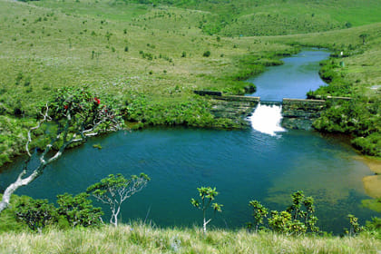 Nuwara Eliya Day Tour from Kandy