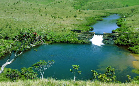 Nuwara Eliya Day Tour: Nature and Adventure from Kandy