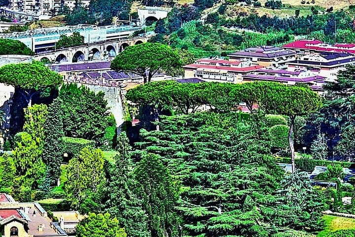 St. Peter's Basilica and Papal Grottoes Guided Tour 8
