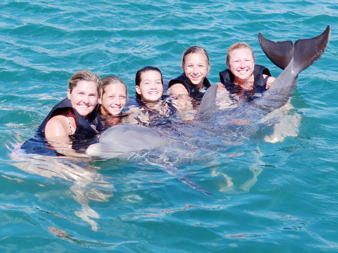 Dolphin Lover's Swim at Dolphin Discovery Grand Cayman photo 5