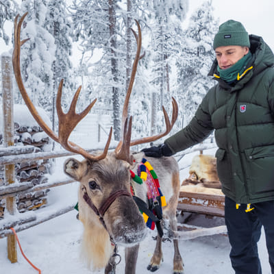 Snowy Forest Reindeer Ride in Rovaniemi - Image 4