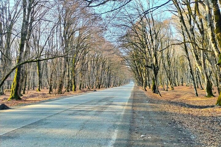 ismayilli tour-nature Azerbaijan-cultural tour-historical tour