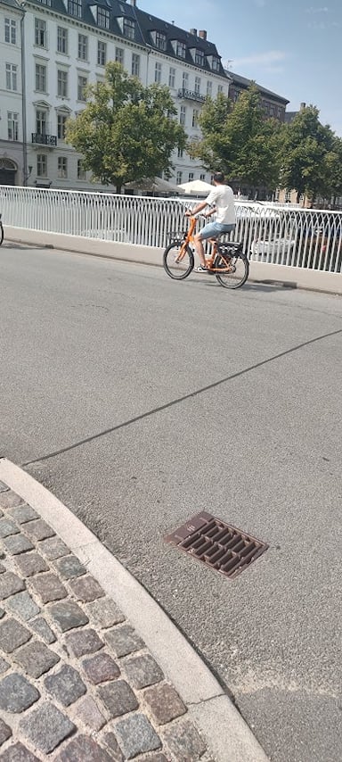 City, Nature & Cycling — Private Experience in Copenhagen 7
