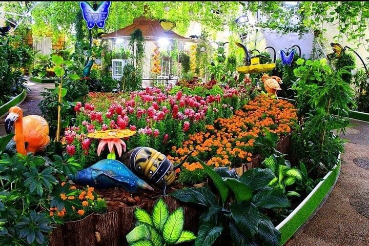  Dubai Butterfly Garden  6