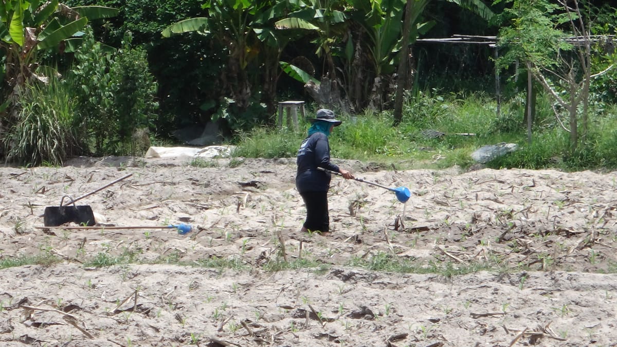 Chiang mai Suthep National Park Leisure Hiking & Mountain Biking