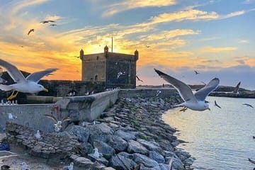 Essaouira Day Tour from Marrakech: Culture and Coastline Exploration