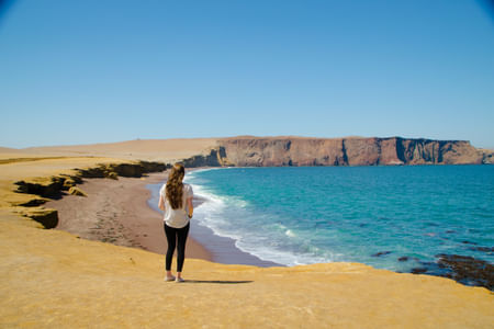 Par-02 : Ballestas Islands & Paracas Reserve - Full Day Escape