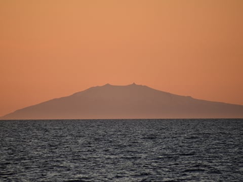Reykjavík Classic Whales in the Midnight Sun, photo 19