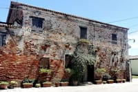 Lio Piccolo: Flamingos & Birdwatching Bike Tour in the Venetian Lagoon 6