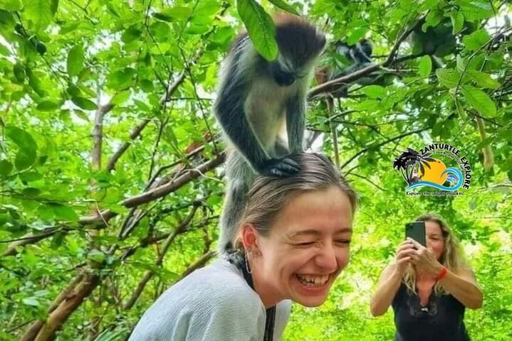 Jozani Forest Tour and Lunch at Rock Restaurant in Zanzibar