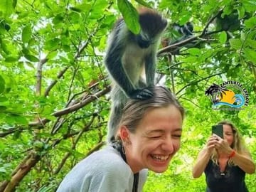 Jozani Forest Nature Tour with Lunch at The Rock Restaurant