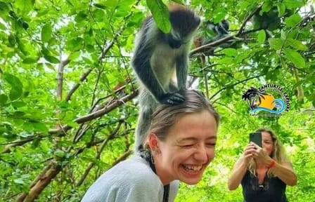 Jozani Forest Tour and Lunch at The Rock Restaurant