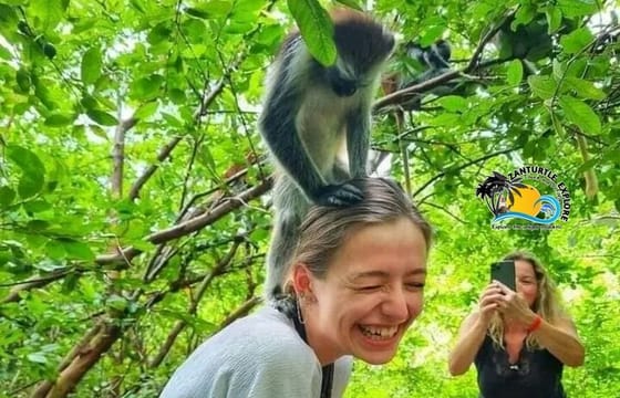 Jozani Forest Tour and Lunch at The Rock Restaurant