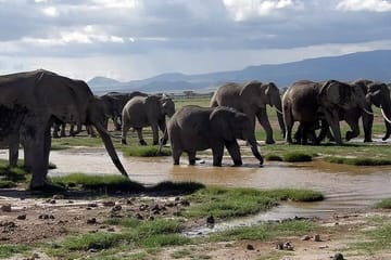 6 Days Samburu Sweetwaters Lake Nakuru and Lake Naivasha Tour