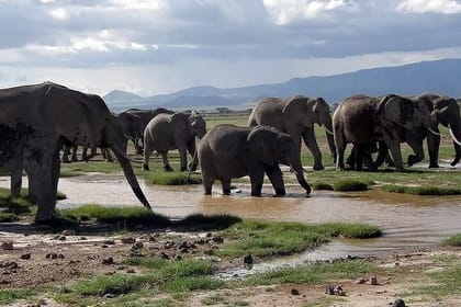6 Days Samburu Sweetwaters Lake Nakuru and Lake Naivasha Tour