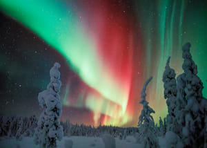Northern Lights Hunting Adventure – Small Group Photography Tour - Rovaniemi