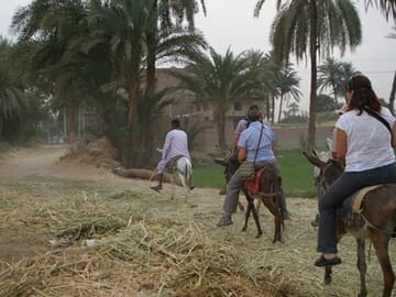 Donkey Ride and Local Meal in Luxor Country Village
