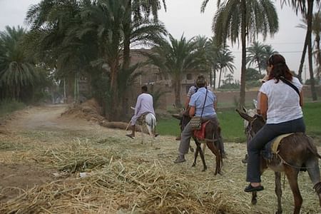 Luxor Donkey Ride Adventure with Traditional Egyptian Meal