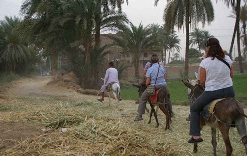 Donkey Ride and Local Meal in Luxor Country Village
