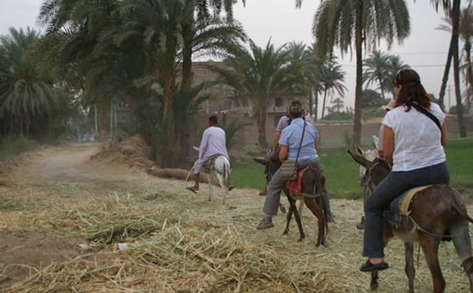 Donkey Ride and Local Meal in Luxor Country Village