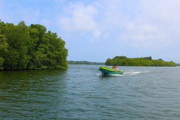 Madu River Boat Safari Tour in Balapitiya, Sri Lanka