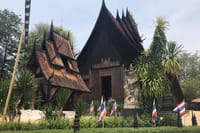 Chiang Mai-Chiang Rai: White Temple-Bann Dam Museum-Blue Temple - Lunch 3