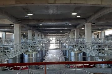 Private Transfer San Antonio Pier to Airport with Vineyard Lunch