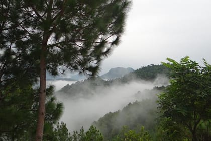 Chandigarh to Shimla Hill Station 4-Days Private Tour