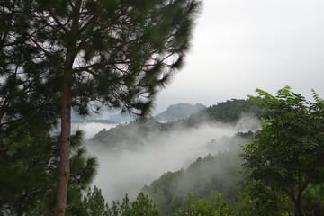 Private 4-Day Tour from Chandigarh to Shimla Hill Station