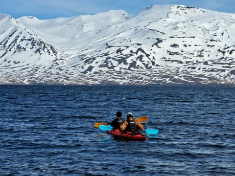 Guided Kayak Tour in Árskógssandur: Explore Coastline & Wildlife, photo 3