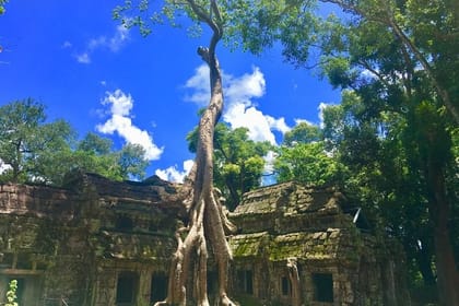 Highlight of Angkor Complex 2 Days Private Tour