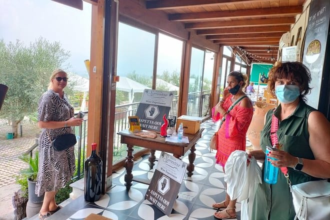 Shore Excursion Naples City Tour, Pompeii & Bosco dei Medici Winery photo 5