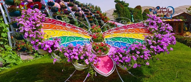 Tickets to Dubai Butterfly Garden 4