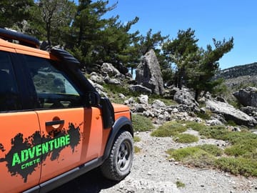 Our Land Rovers out in the green
