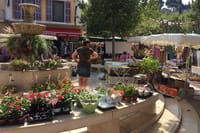 Heritage, wines and gastronomy - 3-day tour 6