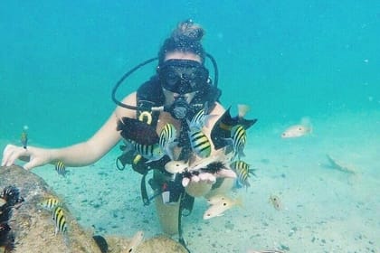 Dubai : Scuba Diving in Arabian Gulf Marine Life