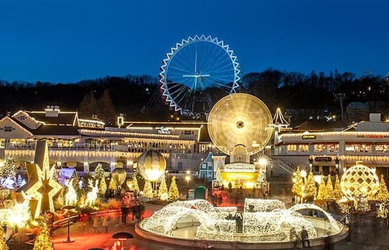 Private 4 days Nami Island&Petite France&Seoul&Everland tour