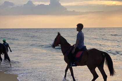 Private Horse Riding in Mount Lavinia